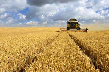 В Италии назвали сельское хозяйство «секретным триумфом» Путина